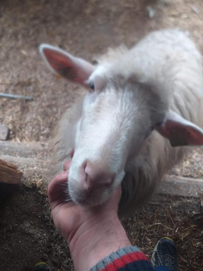 Agrifarm La Corte Apartment Villa Bensi Dış mekan fotoğraf